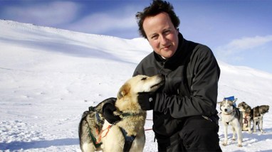 David_Cameron_WWF_800
